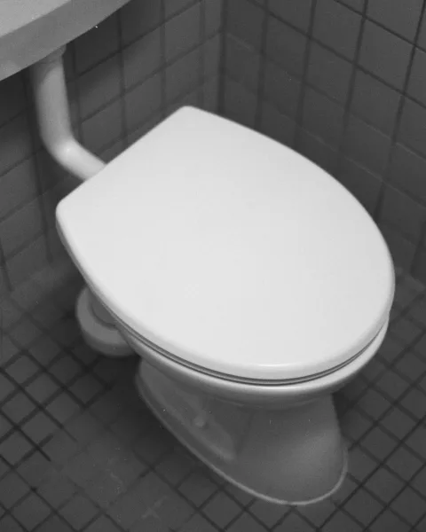 Scrubbing the toilet